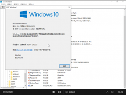Windows 10 Team-10.0.19100.1007-Version.png