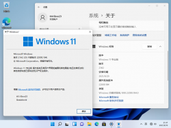 Windows 11-10.0.22000.184-Version.png