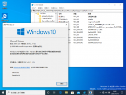 Windows 10-10.0.21292.1010-Version.png