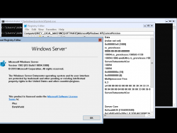 Windows Server 2019-10.0.18894.1000-Version.png