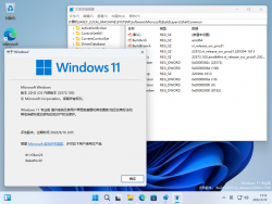 Windows 11-10.0.22572.100-Version.png