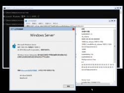 Windows Server 2019-10.0.18985.1-Version.png