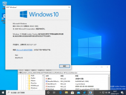 Windows 10-10.0.20241.1000-Version.png