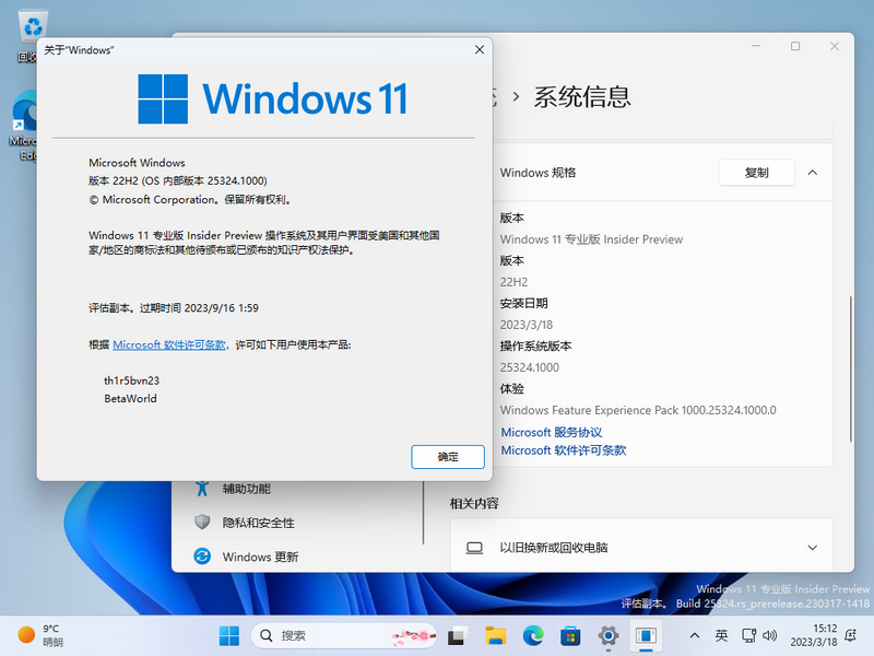 文件:Windows 11-10.0.25324.1000-Version.png