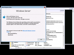 Windows Server v1903-10.0.18351.26-Version.png