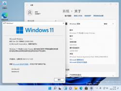 Windows 11-10.0.22458.1000-Version.png