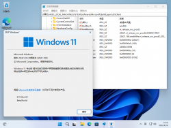 Windows 11-10.0.22621.160-Version.png
