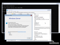Windows Server 2016-10.0.17040.1000-Version.png