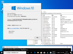 Windows10-10.0.19025.1051-Version.png