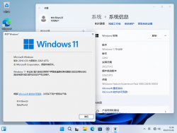 Windows 11-10.0.22621.875-Version.png