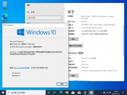 Windows 10-10.0.19042.487-Version.png