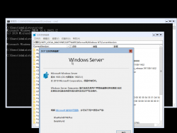 Windows Server 2019-10.0.19023.1-Version.png