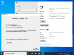 Windows Server 2022-10.0.20348.11-Version.png