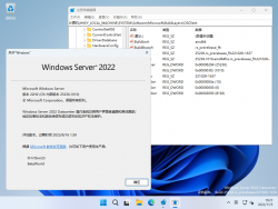 Windows Server 2025-10.0.25236.1010-Version.png
