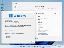 Windows 11-10.0.22538.1000-Version.png