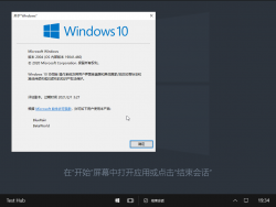 Windows 10 Team-10.0.19041.460-Version.png