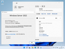Windows Server Nickel-10.0.22518.1000-Version.png
