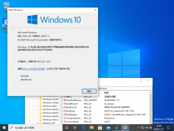 Windows 10-10.0.20257.1-Version.png