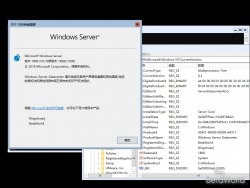 Windows Server 2019-10.0.18282.1000-Version.png