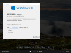 Windows 10 Team-10.0.19100.1035-Version.png