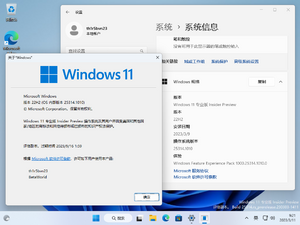 Windows 11-10.0.25314.1010-Version.png