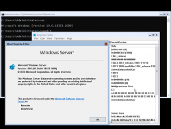 Windows Server 2019-10.0.18323.1000-Version.png