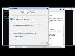 Windows Server 2019-10.0.18362.10012-Version.png