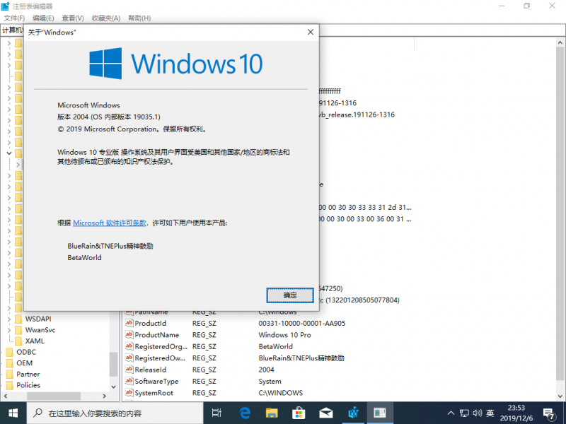 文件:Windows10-10.0.19035.1-Version.png
