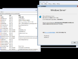 Windows Server 2019-10.0.18317.1000-Version.png