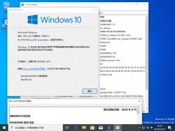 Windows10-10.0.18999.1-Version.png