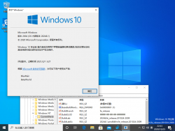 Windows 10-10.0.20246.1-Version.png