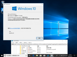 Windows 10-10.0.17134.48-Version.png