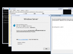 Windows Server Semi-Annual Channel-10.0.18362.10014-Version.png