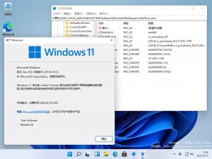 Windows 11-10.0.22518.1012-Version.png