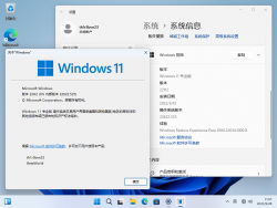 Windows 11-10.0.22622.525-Version.png
