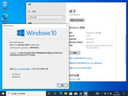 Windows 10-10.0.19044.1202-Version.png