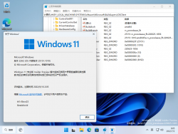 Windows 11-10.0.25151.1010-Version.png