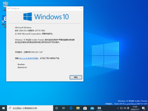 Windows 10-10.0.20170.1000-Version.png