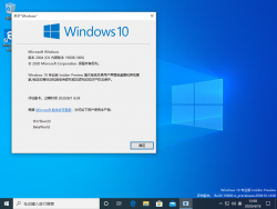 Windows 10 10.0.19608.1000 Version.png