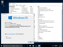Windows 10-10.0.10586.3-Version.png