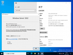Windows Server 2022-10.0.20317.1-Version.png