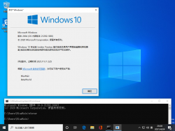 Windows 10-10.0.21292.1000-Version.png