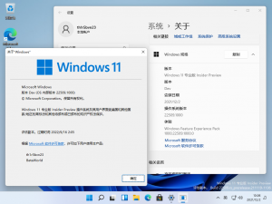 Windows 11-10.0.22509.1000-Version.png