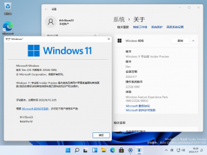 Windows 11-10.0.22526.1000-Version.png