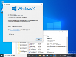 Windows 10-10.0.20206.1000-Version.png