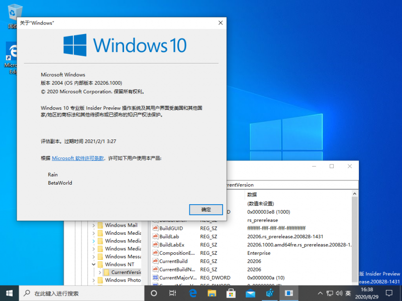 文件:Windows 10-10.0.20206.1000-Version.png