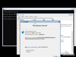 Windows Server 2019-10.0.18362.10006-Version.png