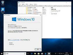 Windows 10-10.0.17763.55-Version.png