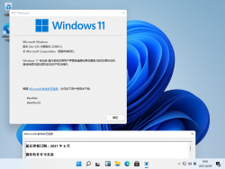Windows 11-10.0.22000.1-Version.png