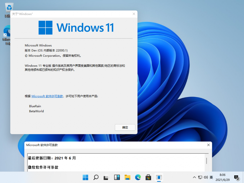 文件:Windows 11-10.0.22000.1-Version.png